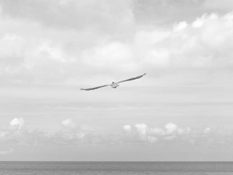 Ernesto Batlle Santo Domingo